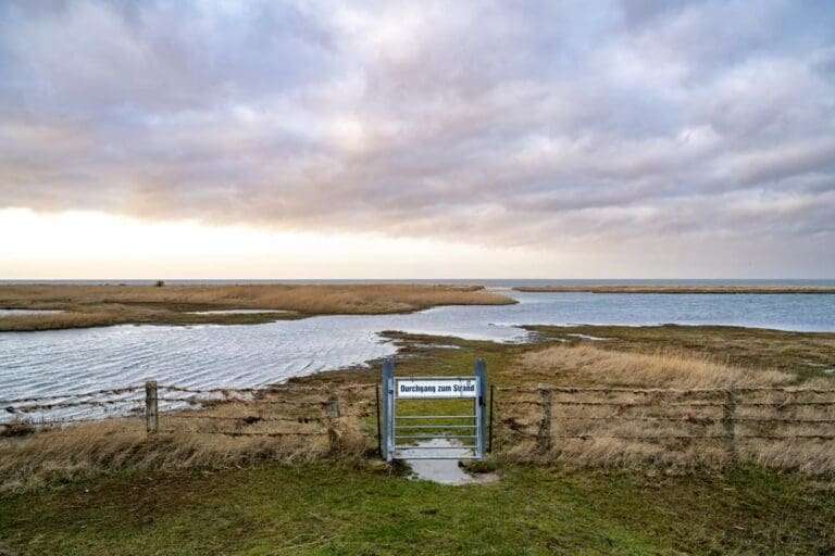 Wyk auf Föhr: Inselkante – Open Air Fotoausstellung