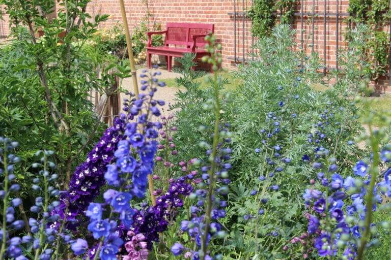 Küchengarten-Spezial