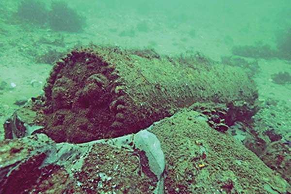 Pönitz: Sonderausstellung „Munition im Meer – das explosive Erbe“