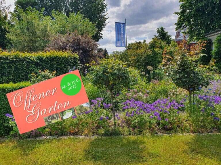 Heikendorf: Aktion Offener Garten im Museumsgarten