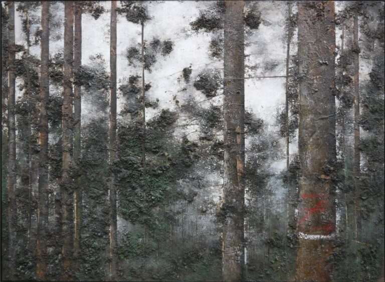 Durchforstungen | Künstlergespräch