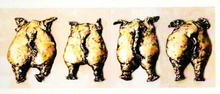 Schwein gehabt !